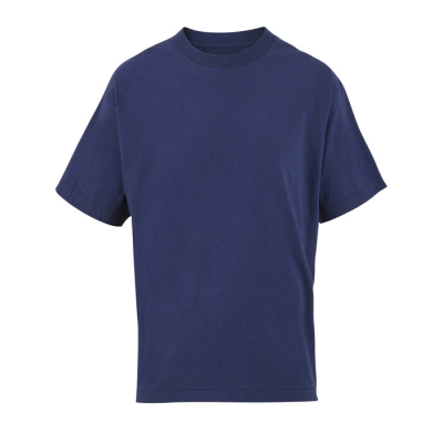 Picture of LEGACY OVERSIZED TEE SHIRT in Blue
