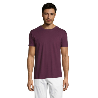 Picture of REGENT UNI TEE SHIRT 150G in Brown