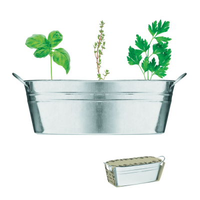 Picture of ZINC TUB with 3 Herbs Seeds