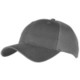 Picture of 6 PANEL SNEAKER MESH CAP in Grey