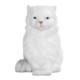 Picture of CAT PERSIAN STRESS ITEM