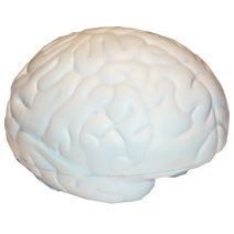 Picture of BRAIN (LARGE) STRESS ITEM.