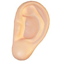 Picture of EAR STRESS ITEM.