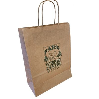 Picture of TWIST HANDLE PAPER BAG SMALL.