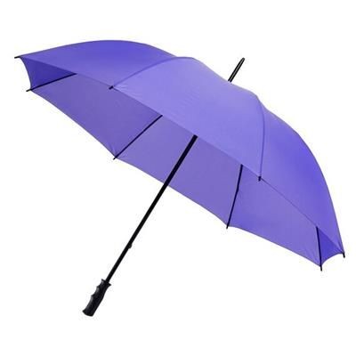 Picture of BUDGETSTORM PLUS in Purple.