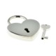 Picture of SILVER FINISH PADLOCK with Key
