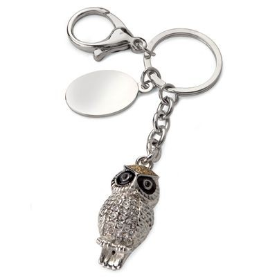 Picture of LITTLE OWL SILVER METAL KEYRING with Crystals.