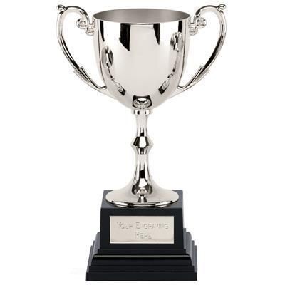 Picture of SILVER CAST METAL AWARD TROPHY CUP