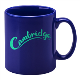 Picture of CAMBRIDGE REFLEX BLUE