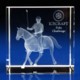 Picture of CRYSTAL GLASS HORSE PAPERWEIGHT OR AWARD