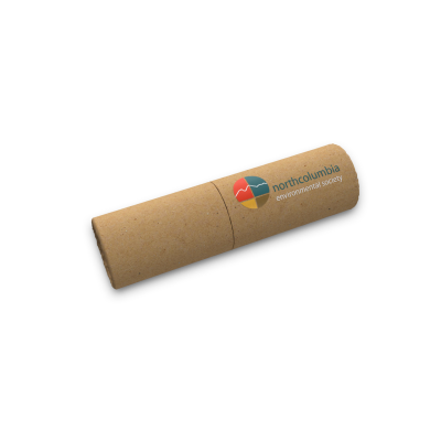 Picture of ED5 ECO FRIENDLY USB MEMORY STICK.