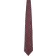 Picture of TIE in Maroon
