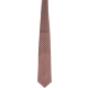 Picture of TIE in Brown