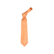 Picture of NECKTIE in Orange