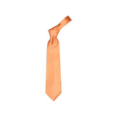 Picture of NECKTIE in Orange.