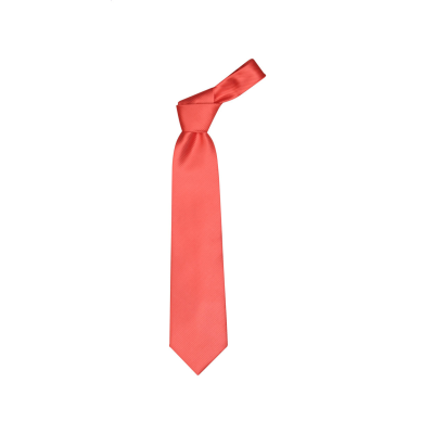 Picture of NECKTIE in Red.