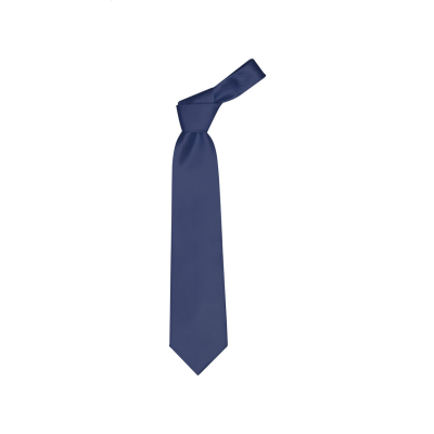 Picture of NECKTIE in Dark Blue.