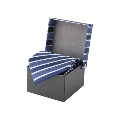 Picture of NECKTIE in Dark Blue.