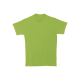 Picture of TEE SHIRT in Kiwi Green