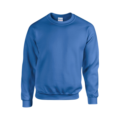 Picture of SWEATSHIRT in Blue