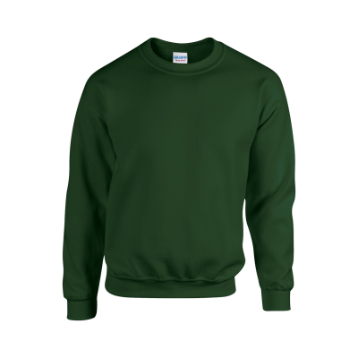 Picture of SWEATSHIRT in Old Kelly Green