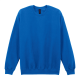 Picture of CREW NECK SWEATSHIRT in Blue