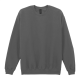 Picture of CREW NECK SWEATSHIRT in Dark Grey