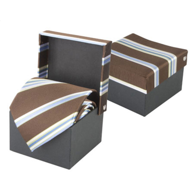 Picture of NECKTIE in Brown.