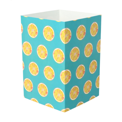 Picture of PAPER SLEEVE in White.