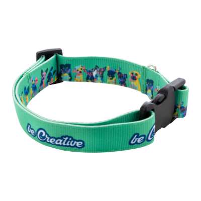 Picture of CUSTOM DOG COLLAR in White.