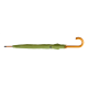 Picture of RPET UMBRELLA in Green