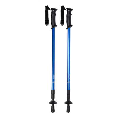 Picture of NORDIC WALKING STICK in Blue.