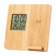 Picture of CHARGER WEATHER STATION in Natural