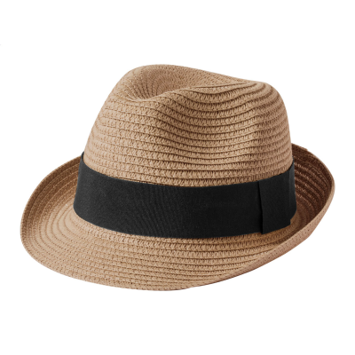Picture of HAT in Brown.