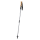 Picture of NORDIC WALKING STICK in Silver