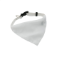 Picture of DOGS COLLAR in White