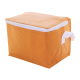 Picture of COOL BAG in Orange
