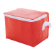 Picture of COOL BAG in Red