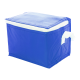 Picture of COOL BAG in Blue
