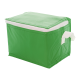 Picture of COOL BAG in Green