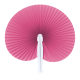 Picture of FAN in Rose