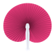 Picture of FAN in Pink