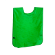 Picture of ADULT JERSEY in Green