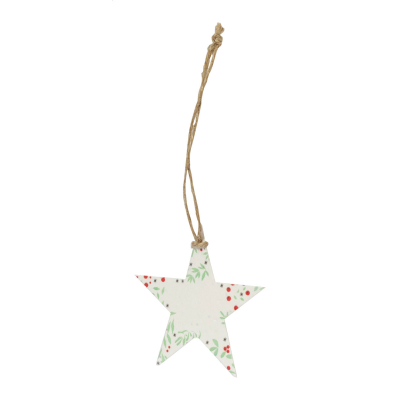 Picture of CHRISTMAS TREE ORNAMENT, STAR in Natural.
