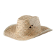 Picture of STRAW HAT in Natural