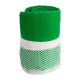 Picture of TOWEL in Green
