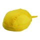 Picture of HEADSCARF in Yellow