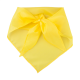 Picture of SCARF in Yellow
