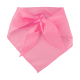 Picture of SCARF in Rose