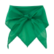 Picture of SCARF in Green